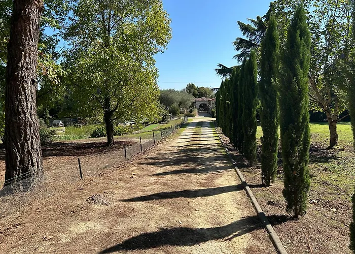 Le Bois De Montpouillan *